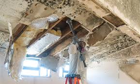 Best Mold Remediation for Healthcare Facilities  in Thiells, NY